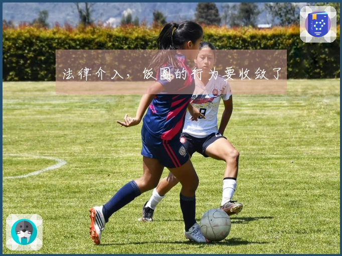 法律介入，饭圈的行为要收敛了