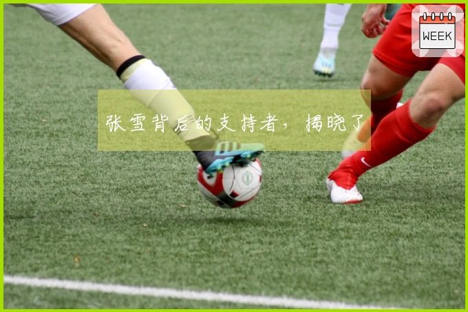 张雪背后的支持者，揭晓了