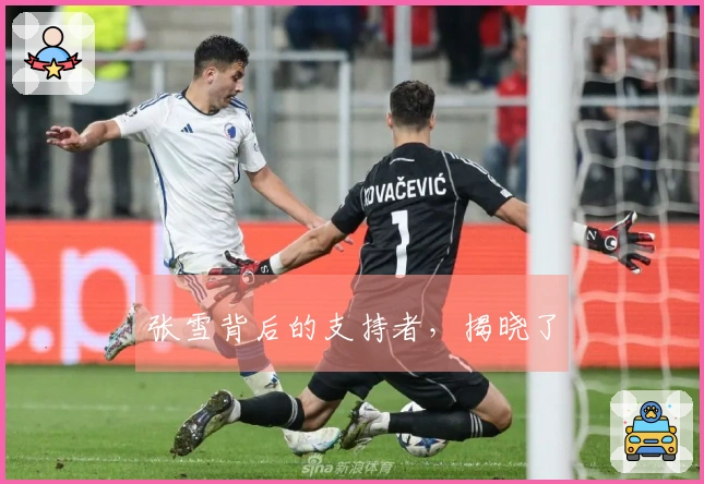 张雪背后的支持者，揭晓了