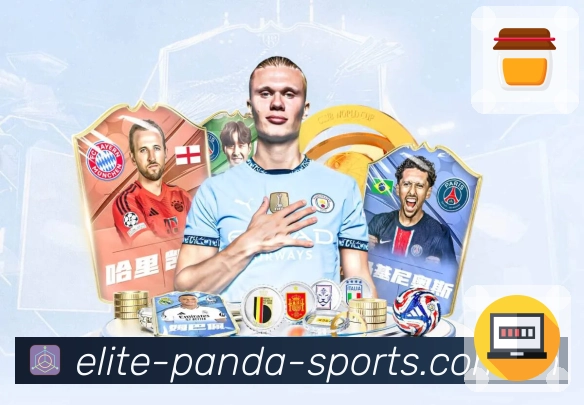 回放与集锦入口